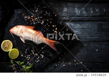 Sea delicacies. Fresh seafood. Red mullet 54558620
