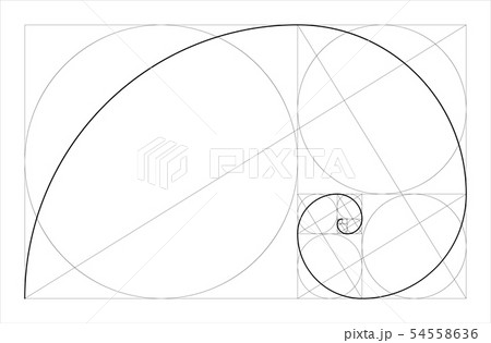Golden ratio geometric concept. Fibonacci spiral. Vector illustration. Golden ratio geometric concept. Fibonacci spiral. Vector illustration. 54558636