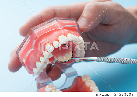 デンタルミラー 54558905