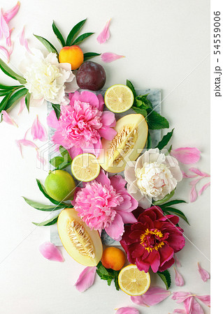 Creative layout made of various citrus fruits, 54559006