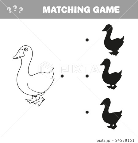 Goose birds shadow matching game vector illustration 54559151