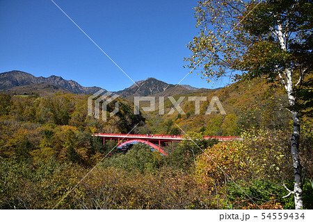 紅葉の東沢大橋 紅葉の東沢大橋 54559434