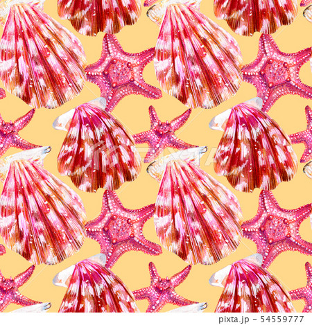 Seamless pattern of scallop shells. 54559777