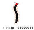 ムカデ 54559944