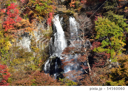 霧降の滝 霧降の滝 54560060