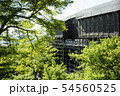 京都　清水寺 54560525