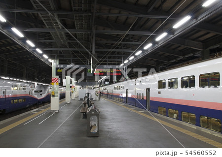 新潟駅に停車中の上越新幹線Maxとき号 54560552