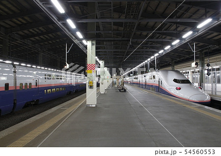 新潟駅に停車中の上越新幹線Maxとき号 新潟駅に停車中の上越新幹線Maxとき号 54560553