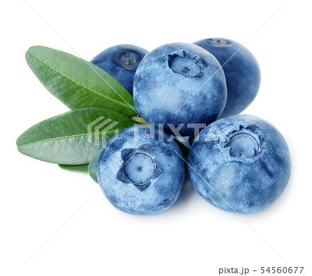 Blueberries with green leaves isolated on white. Blueberries with green leaves isolated on white. 54560677