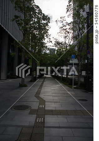 早朝のうめきた 54560776