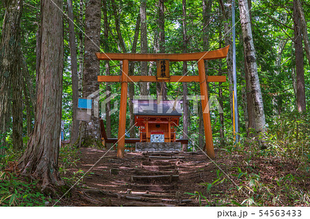 縁結神社 縁結神社 54563433
