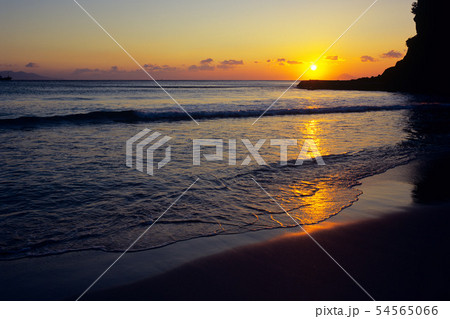 朝日を浴び白浜海岸 朝日を浴び白浜海岸 54565066
