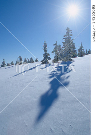 雪面の影・志賀高原・横手山 雪面の影・志賀高原・横手山 54565098