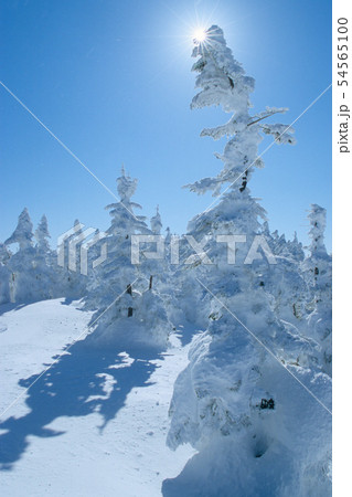 日輪と樹氷・志賀高原・横手山 54565100