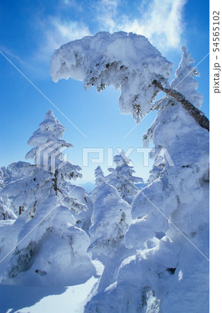 青い空と樹氷・志賀高原・横手山 54565102