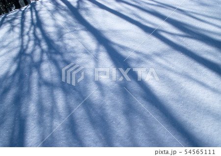 雪面の光と影・乗鞍高原 54565111