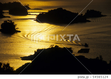 黄金色の海・九十九島 黄金色の海・九十九島 54565124