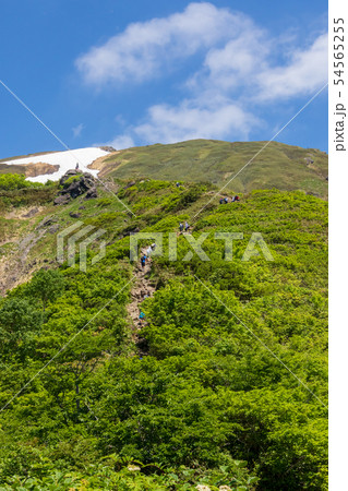 谷川岳 天神尾根登山道 谷川岳 天神尾根登山道 54565255