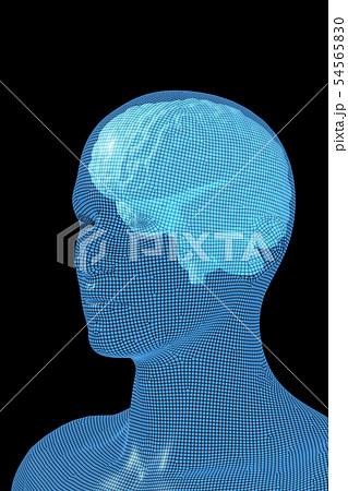 脳, 人の頭脳, ブレイン 54565830