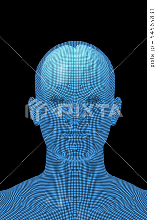 脳, 人の頭脳, ブレイン 54565831