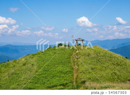 霧の高原　塩塚高原 展望台　（愛媛県四国中央市新宮） 54567303