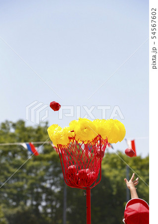 運動会の玉入れ 運動会の玉入れ 54567602