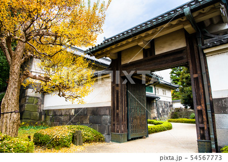 東京 皇居 平川門中の高麗門と黄葉のカエデ 東京 皇居 平川門中の高麗門と黄葉のカエデ 54567773