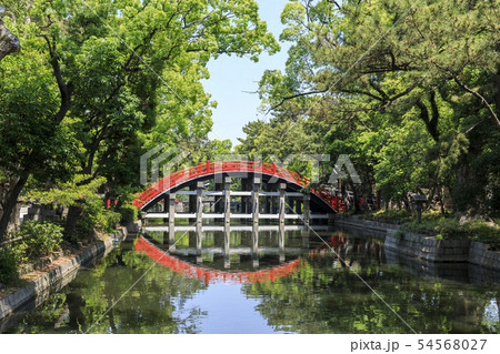 大阪・住吉大社・反橋（太鼓橋） 54568027