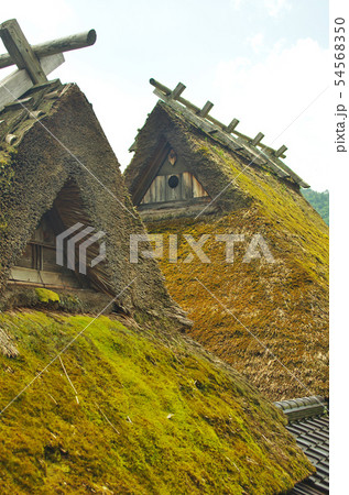 千木のある茅葺き屋根 千木のある茅葺き屋根 54568350