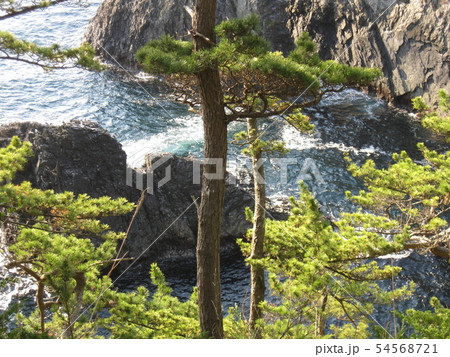 三陸海岸 54568721