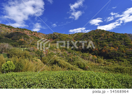 農耕 農業 みのり 54568964