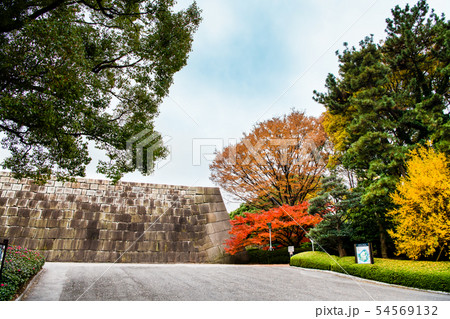 東京 皇居東御苑 天守台と紅葉 東京 皇居東御苑 天守台と紅葉 54569132