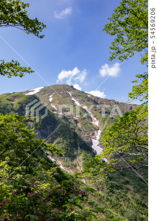 天神尾根の登山道から仰ぎ見る谷川岳 54569206