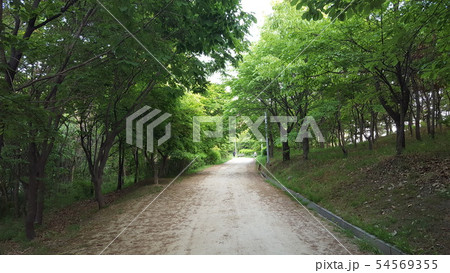 一本道 小道 山道 54569355