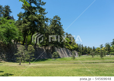 松江城　二の丸 54569648