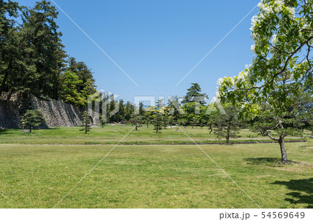 松江城　二の丸 54569649