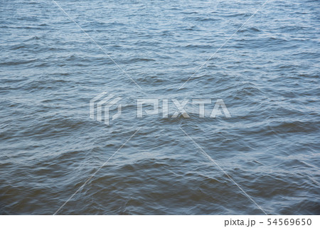 海面の波 54569650