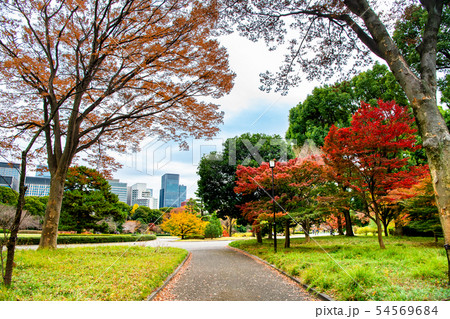 東京 皇居東御苑の紅葉 54569684