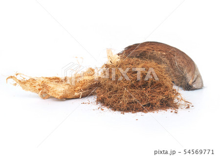 coconut shell's hair. 54569771