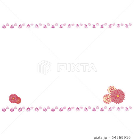 菊模様 54569916