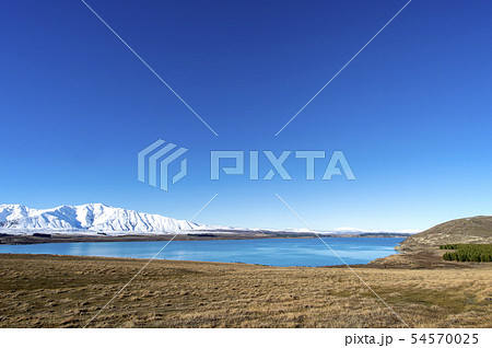 Lake Tekapo Look Out,South Island New Zealand 54570025