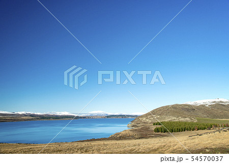 Lake Tekapo and M't John,South Island New Zealand 54570037