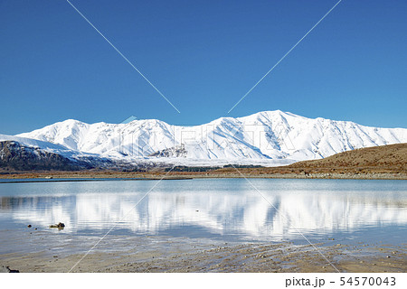 Lake Tekapo Look Out,South Island New Zealand 54570043