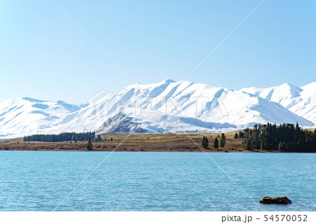 Lake Tekapo Look Out,South Island New Zealand 54570052