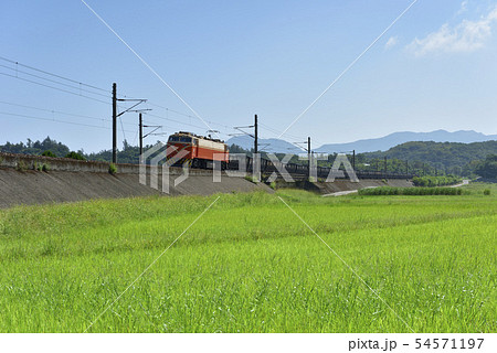 鉄路 線路 鉄道 54571197