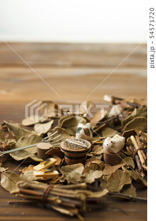 秋イメージ 54571720