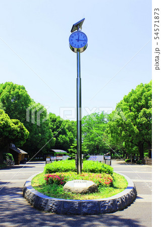 代々木公園 代々木公園 54571873
