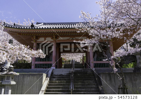 [奈良県]　壷阪寺　桜　春 54573128