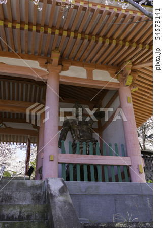[奈良県]　壷阪寺　桜　春 54573141