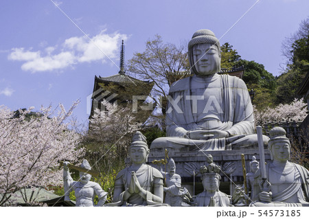 [奈良県]　壷阪寺　桜　春 54573185